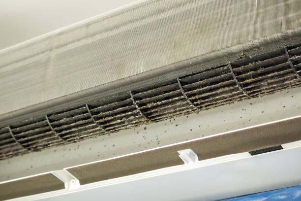 Best Air Duct Mold Removal  in South Wenatchee, WA